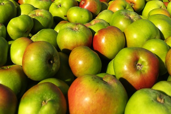 Brambley Apples