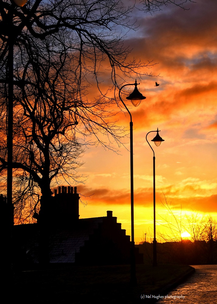 Vicars Hill Spring Sunrise | Captured by Mel Hughes Photography