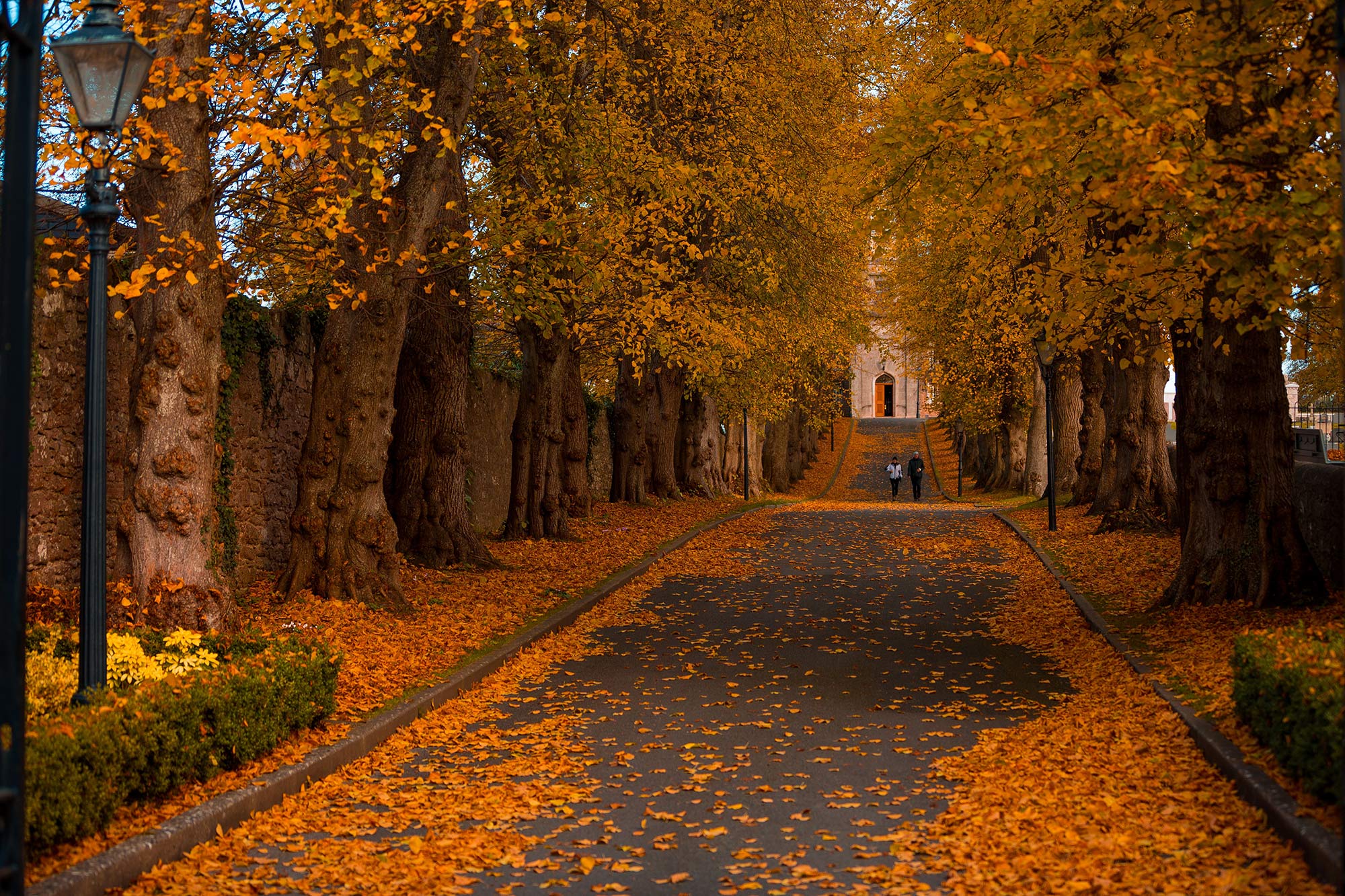 Autumn Image of Armagh