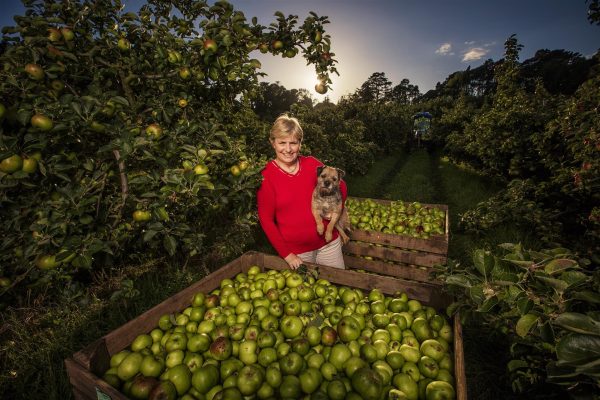 Armagh cider co tours and tasting