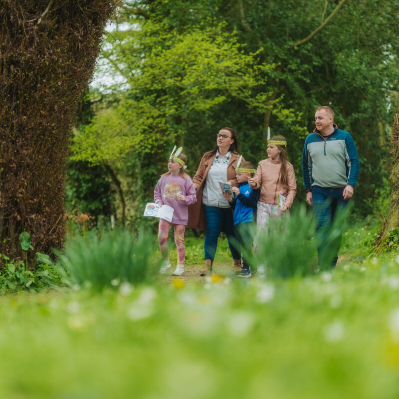 Spring_Argory Spring_Argory