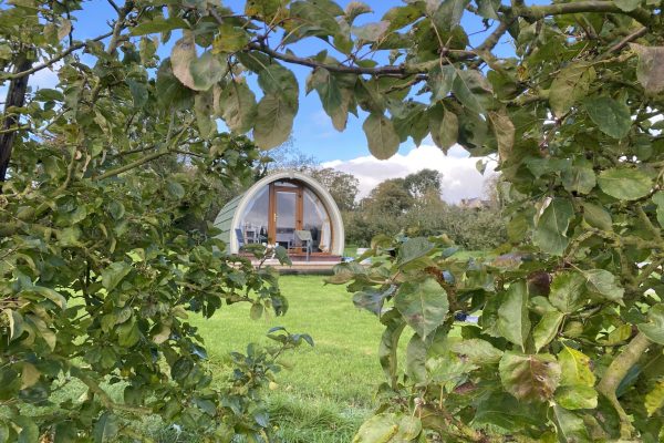 Orchard Luxe Glamping