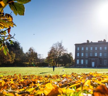 Palace demesne walking tour