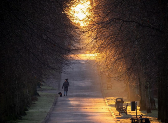 Lurgan Park