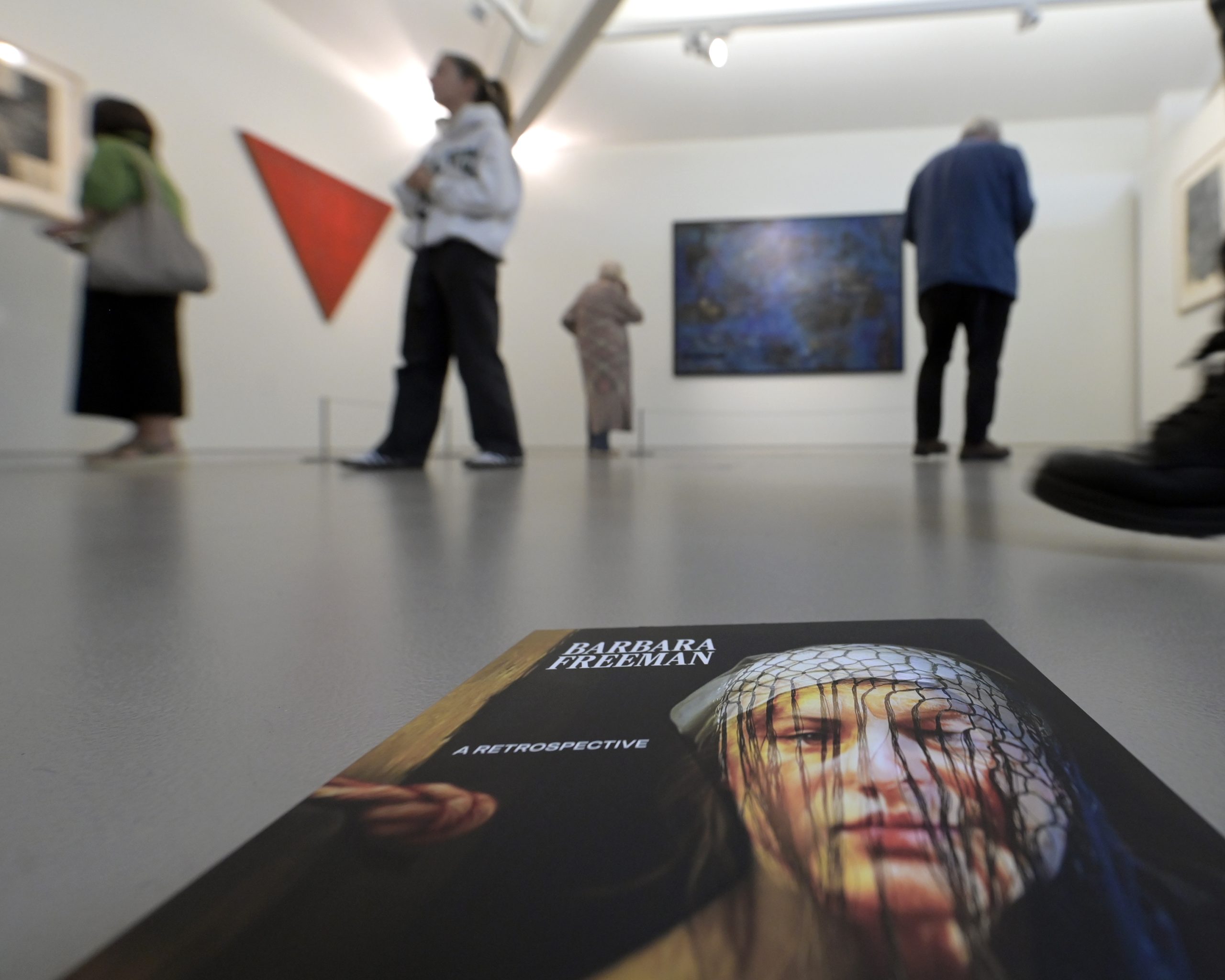 Launch of "A Retrospective" Exhibition by Barbara Freeman, FE McWilliam Gallery 14th June 2025. ©Paul Byrne Photography