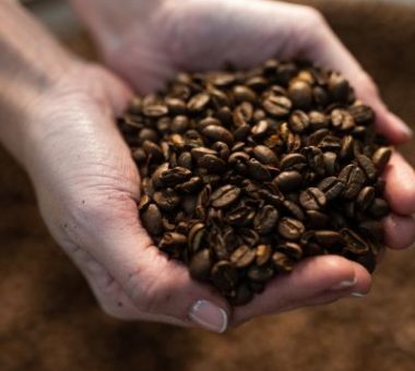 Coffee Tasting from Around the World