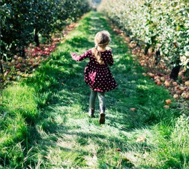 The Big Apple Family Fun Day