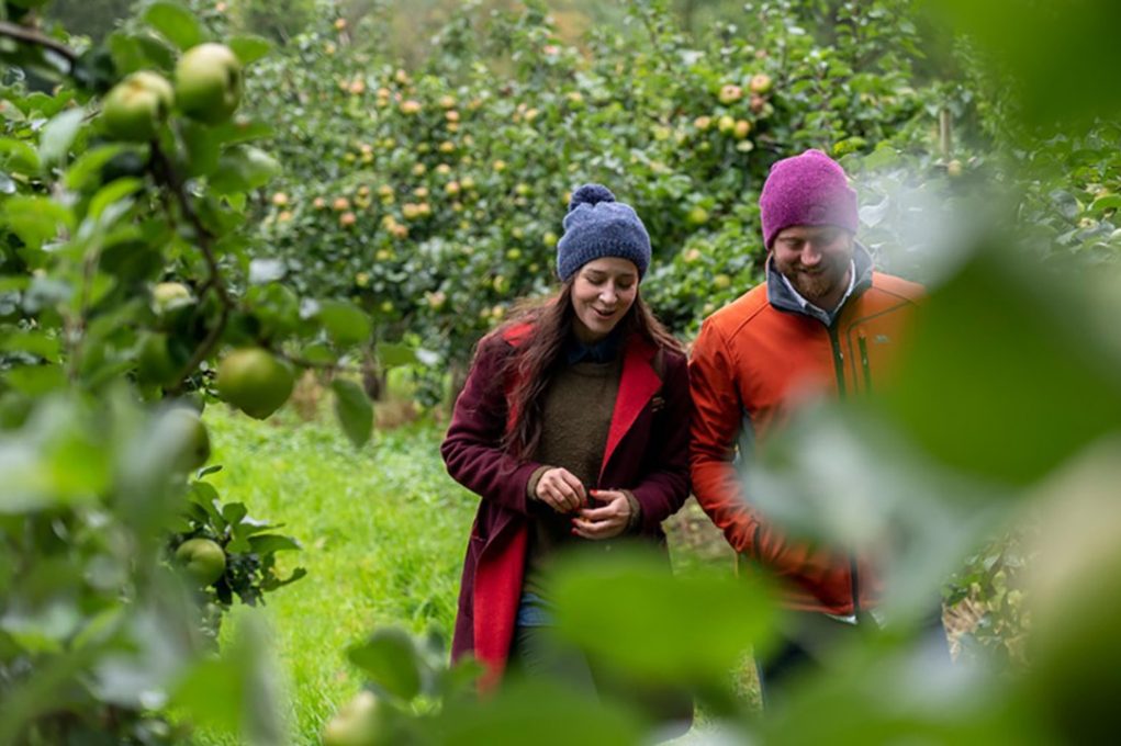 Armagh Cider Company Armagh Cider Company