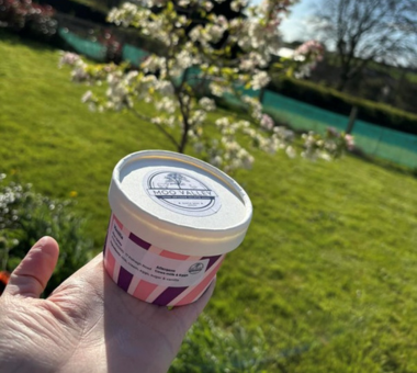 Moo Valley Ice Cream