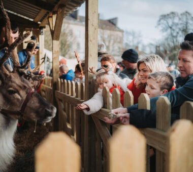 Families feeding reindeer in a festive animal enclosure during the Armagh Georgian Festival.
