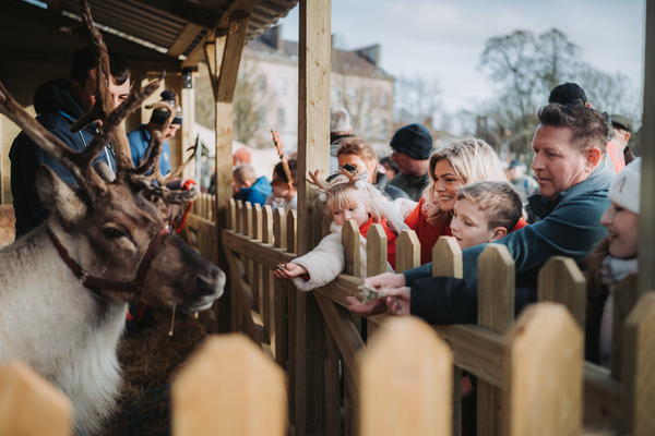 Armagh Georgian Festival - Family Families feeding reindeer in a festive animal enclosure during the Armagh Georgian Festival.