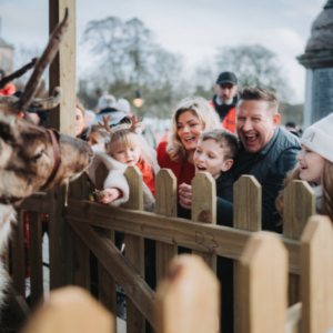 Children and adults meeting reindeer in a festive petting area during a family Christmas event at the Armagh Georgian Festival.