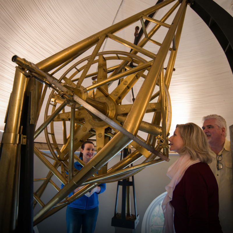 AOP - Autumn Campaign 2026 AOP - Autumn Campaign 2026