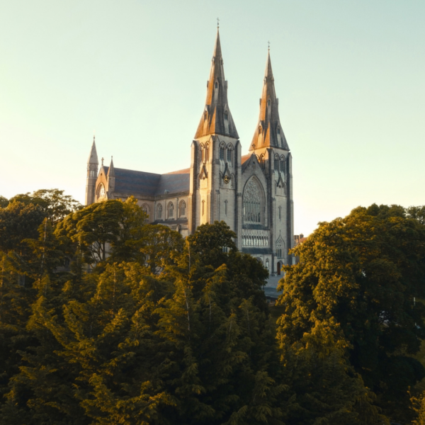 RC Cathedral - Autumn Campaign 2026 (2) RC Cathedral - Autumn Campaign 2026 (2)