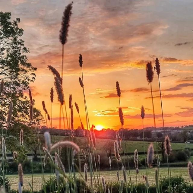 The beauty of a sunset is a sight to enjoy 🌿🌇

📍 Richhill, Co Armagh
📸 Credit to @tina_c_photos for this stunning shot
__________________________________________

Tag us in your captures using #visitarmagh 

#sunset #armagh #photooftheday #countryside