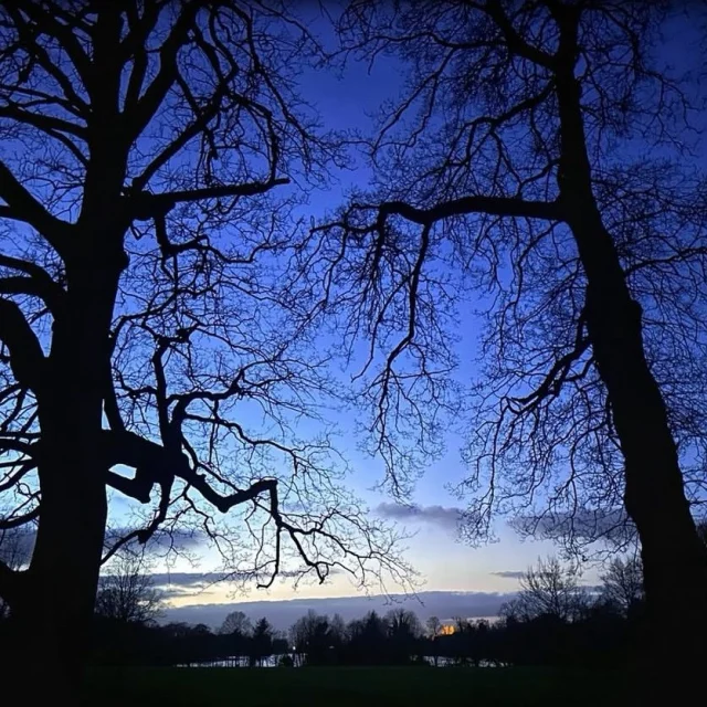 The beauty of a blue sky! 💙

📷 Thanks to @kez_kaptures for this beautiful shot!
📍 Lurgan Park

Tag us in your captures using #visitarmagh 
______________________________________

#park #photooftheday #skylovers #skyphotography #naturelovers #naturephoto